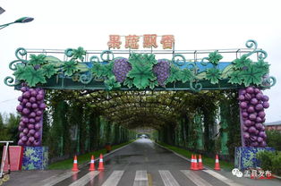 山西華北奕豐生態園特色農產品及旅游產品推介會盛大啟動